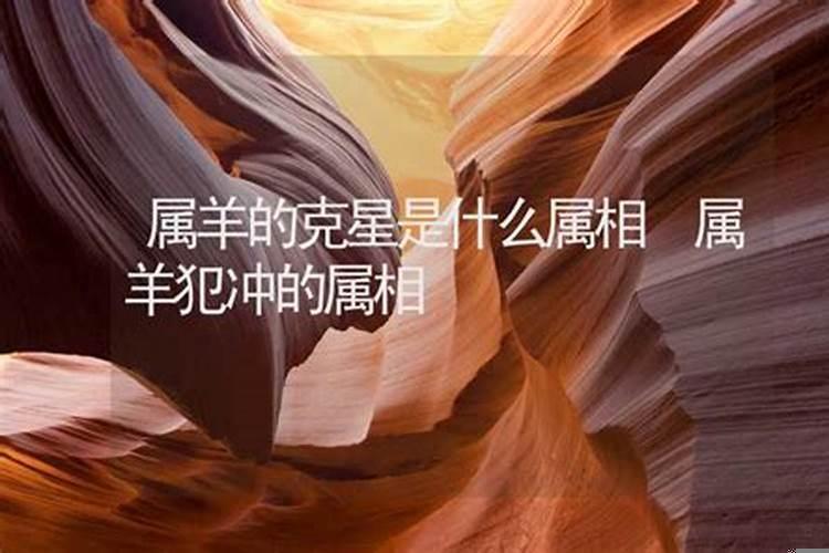 属羊犯冲的属相是什么