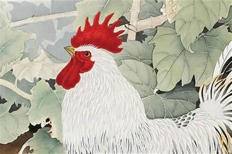 19年属鸡的全年运程