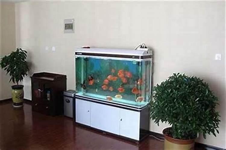 家里风水怎么摆聚财