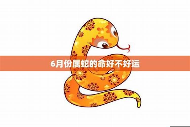 53年属蛇的命运如何
