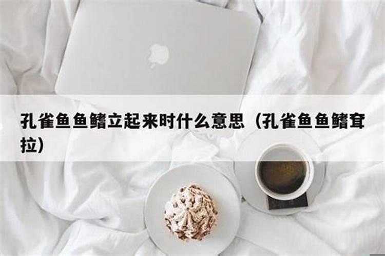 鱼鳍立不起来什么原因
