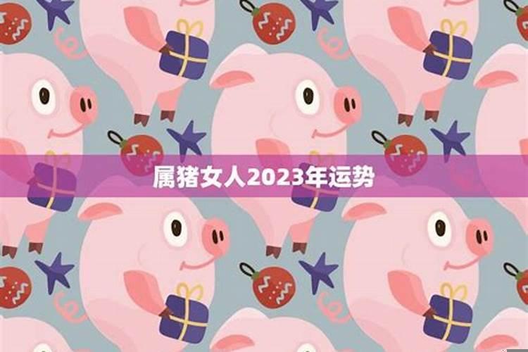 属猪女的事业与财运