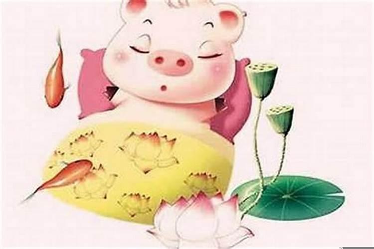 属猪的住三楼好不好