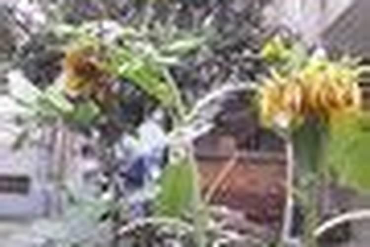 18岁是零零后吗