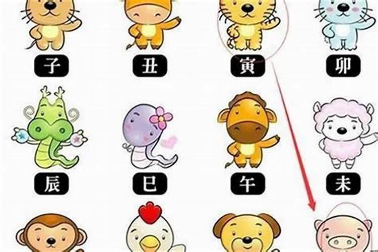 婚姻最幸福的生肖组合
