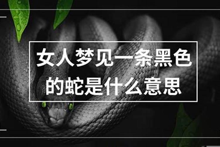 梦见黑色的蛇缠在自己的腿上