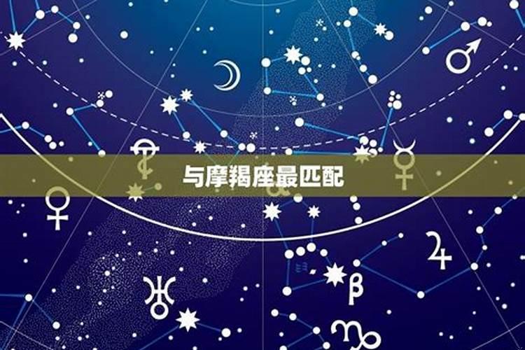 金牛和射手座相配吗