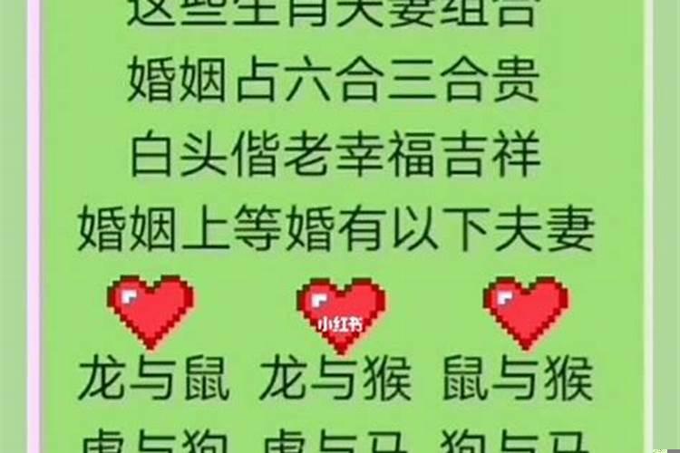 免费十二生肖最佳姻缘配对