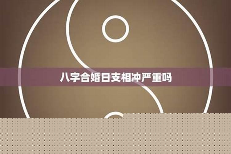 属相犯冲会怎么样