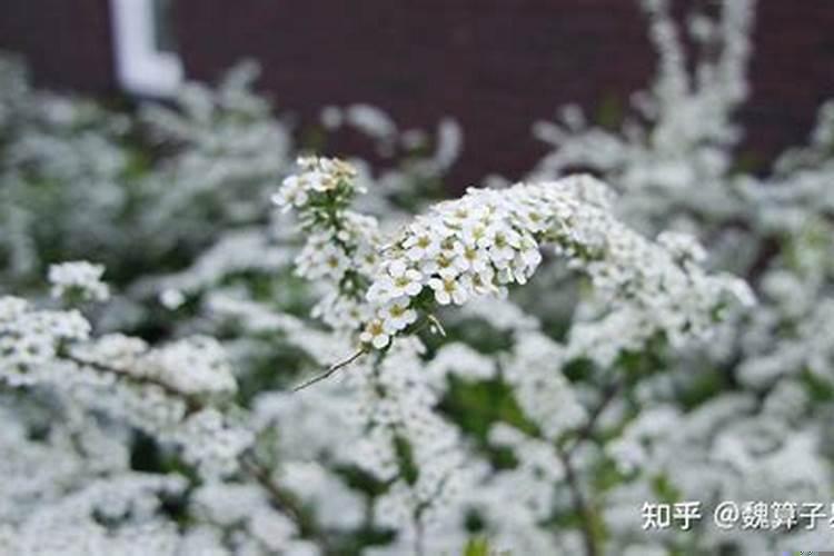 女人在家出轨影响家里的财运吗