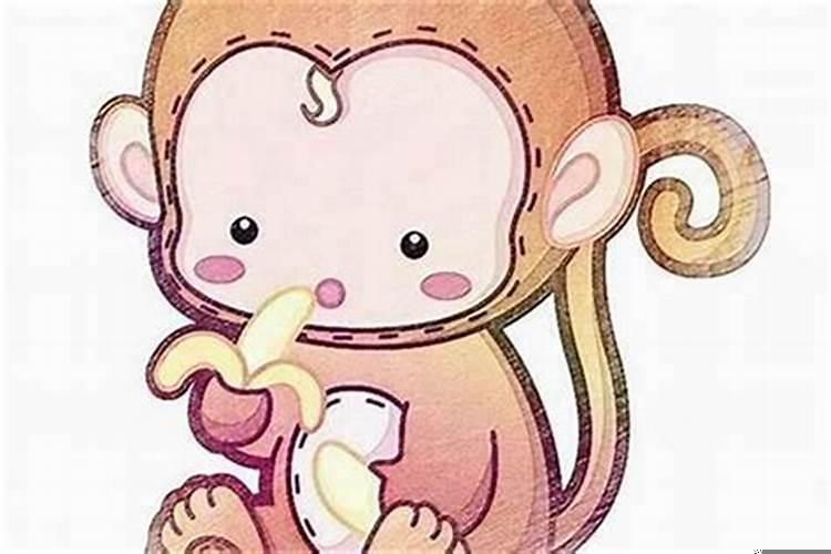 属猴男和属猴女相配吗婚姻