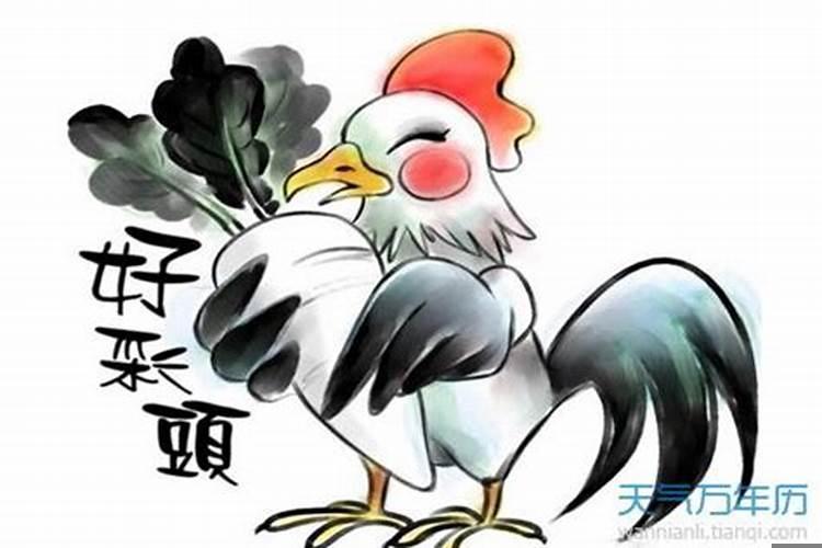 1982属狗的是火命还是水命