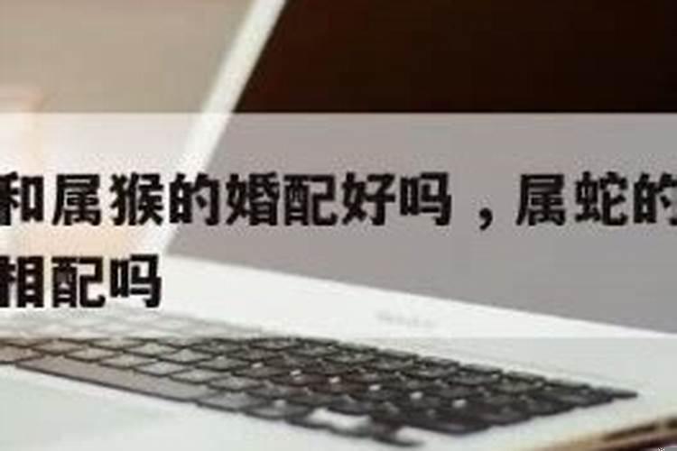 龙与猴属相婚配可以吗