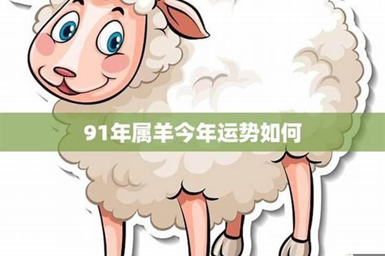 91年属羊今年运势2025年运势