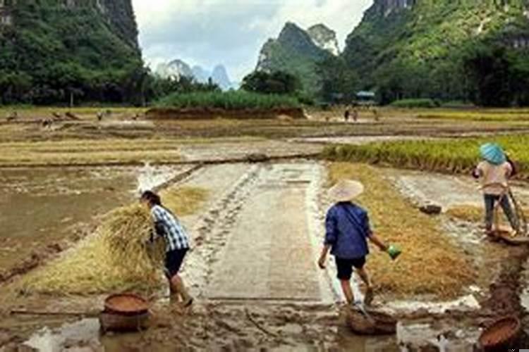 梦见田地被水淹没