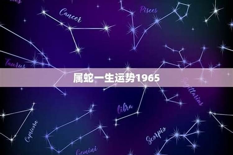 1965属蛇女的一生