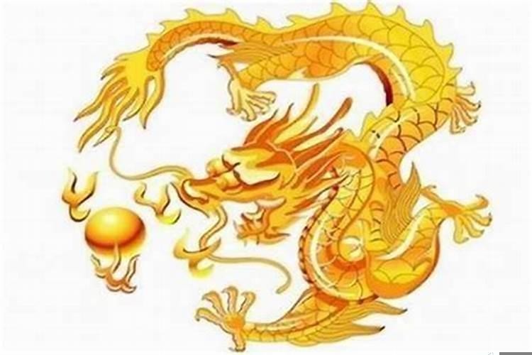 88年龙的婚姻与运气