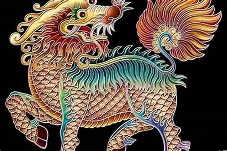 属马有哪些年份