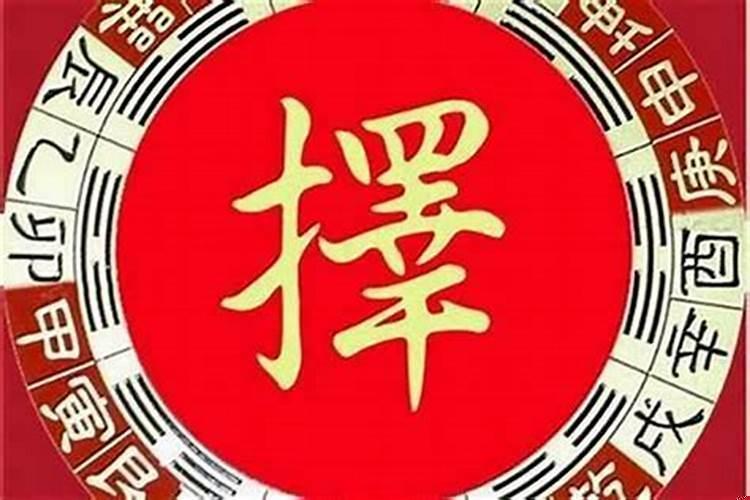 十二生肖属相犯月