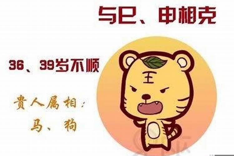 12生肖一生的桃花劫数