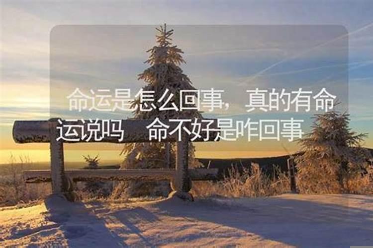 人生真的有命运吗