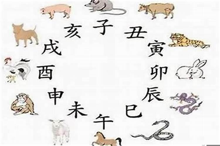 哪个生肖最会做生意