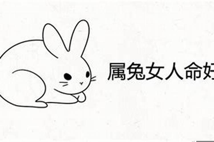 属兔的女人命好吗