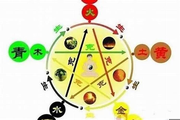 五行金很旺的女人