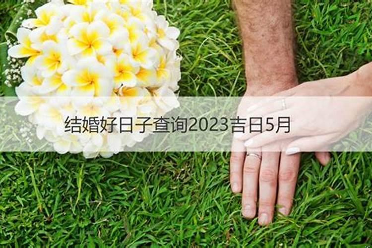2025年公历十月出生的牛宝宝是什么命