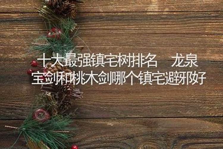 室内绿植镇宅辟邪旺财