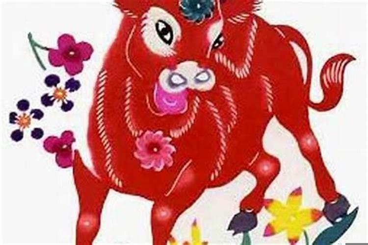 男属牛女属狗配吗