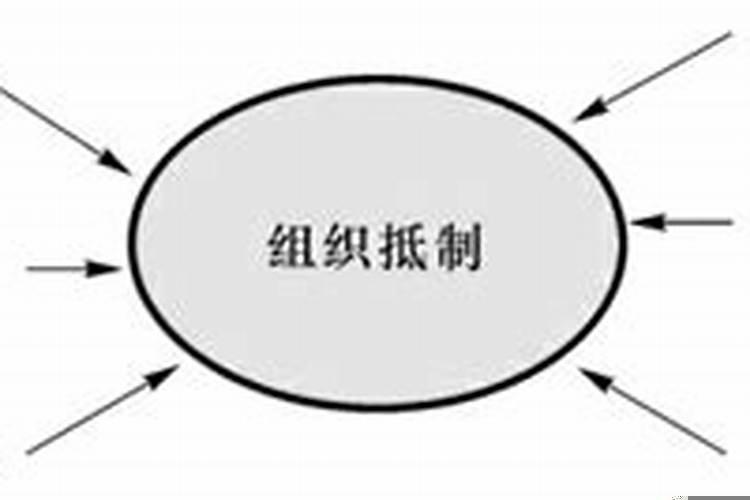 讨论组织变革的阻力及其消除