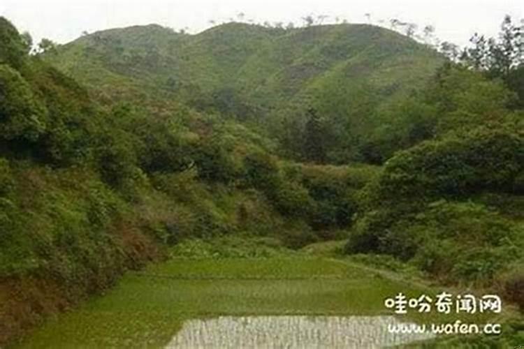 祖坟风水到底有没有用