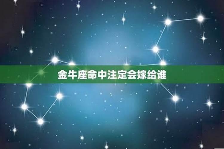 金牛和射手座相配吗