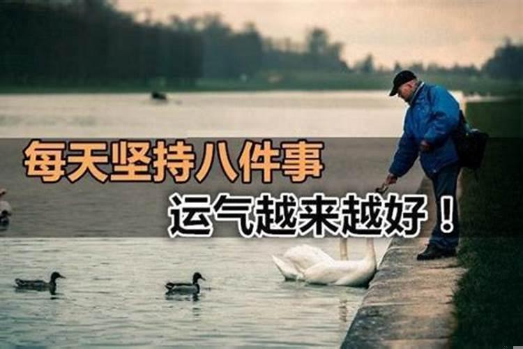 放生什么可以转运发财