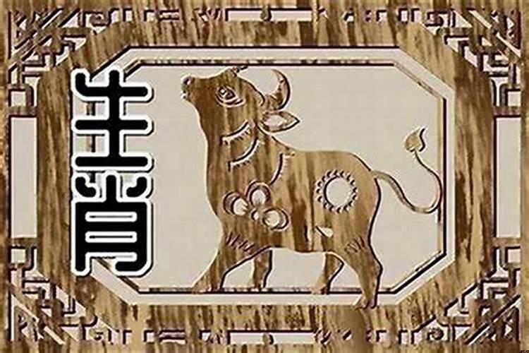 属牛和属羊的人在一起合适吗
