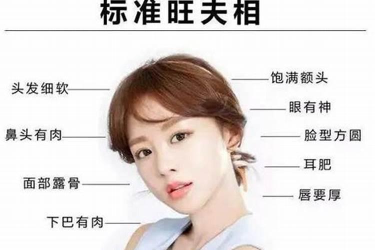办公室财位适合摆放什么东西