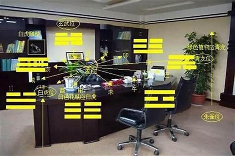 办公室财位适合摆放什么东西