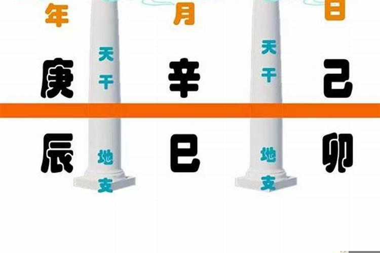 八字看日干还是日支