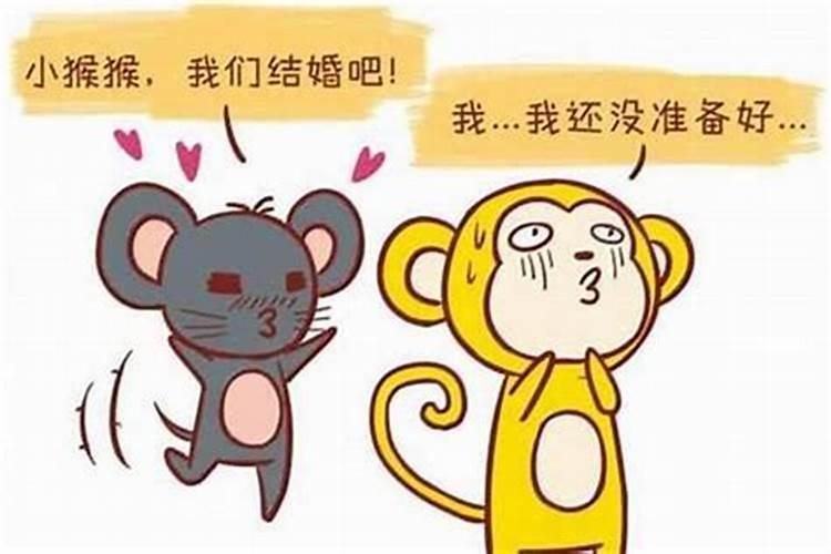 96男鼠98女虎2021年结婚