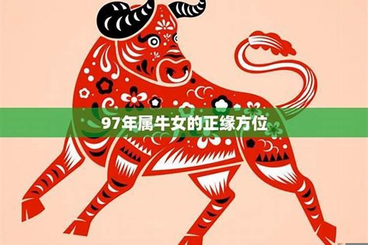 97年属牛女孩劫数