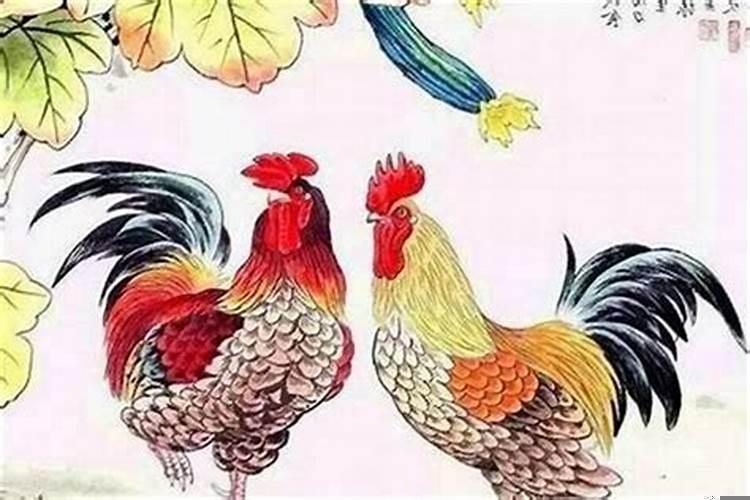 属鸡男和什么属相最配最合适