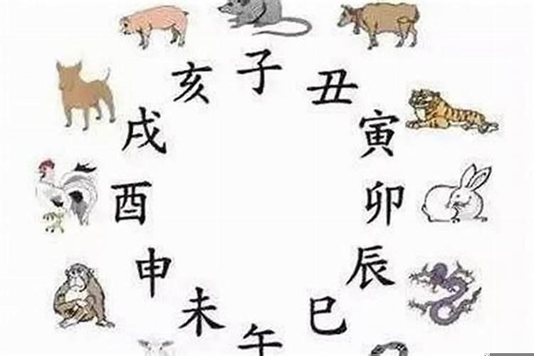 生肖按农历算还是按阳历算