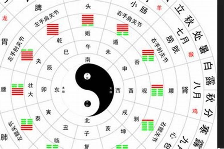 1991年农历9月19日出生的羊