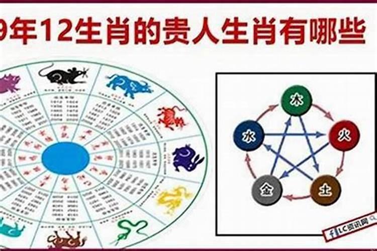 是小人的生肖