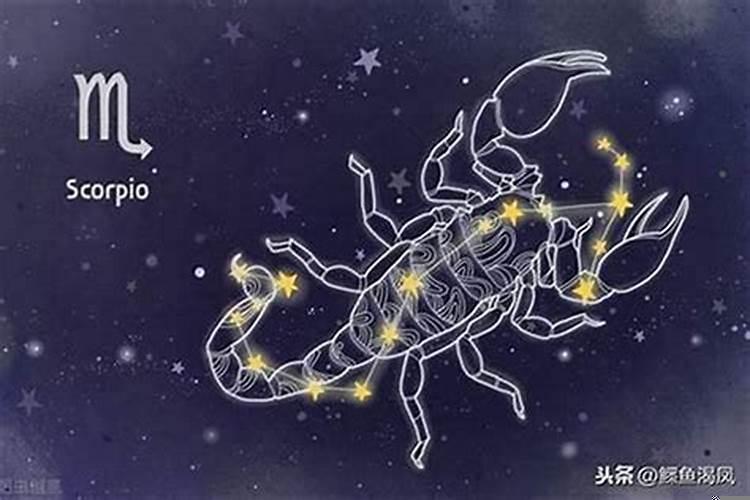 天蝎拿捏什么星座