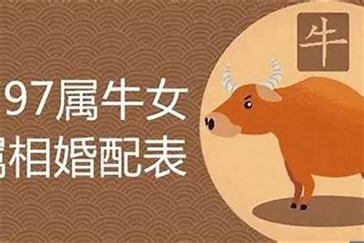 属马的男和什么属相相合