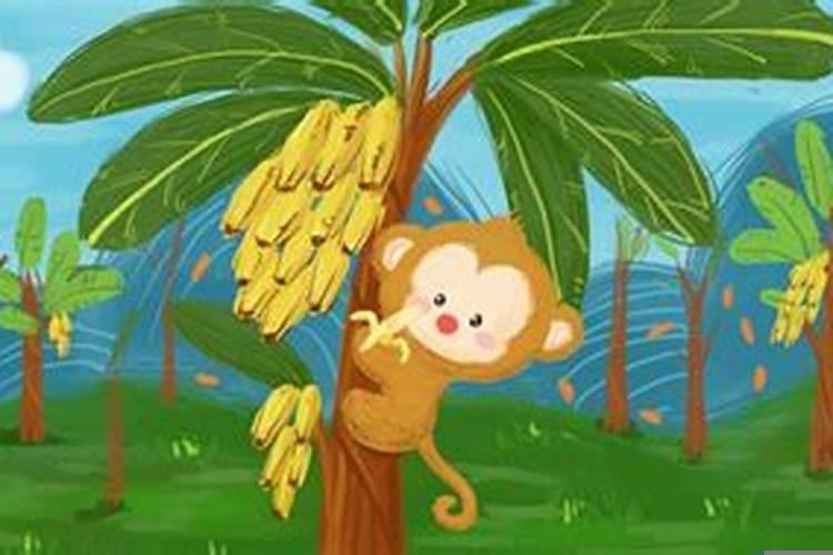 属猴的人很聪明吗