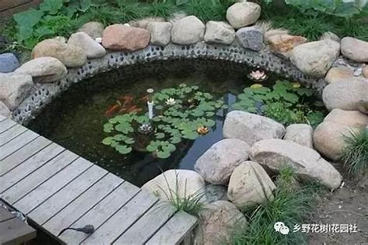 院子里出水风水好吗