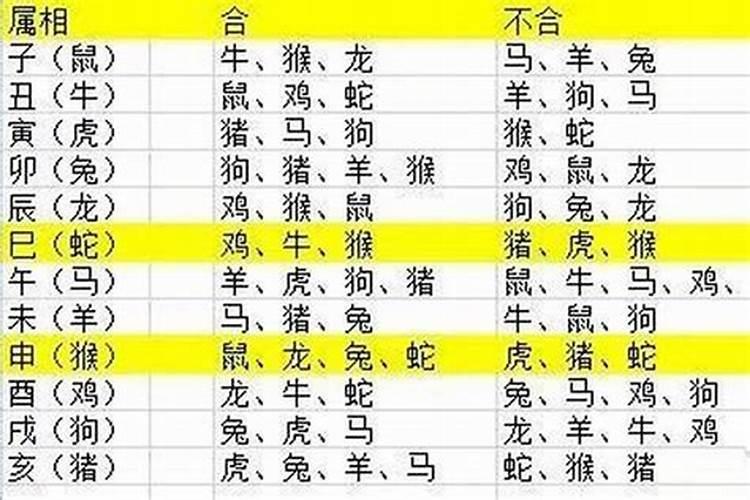 2025年1月1日出生属什么